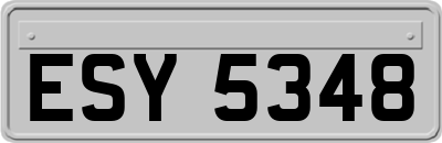 ESY5348