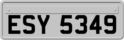 ESY5349