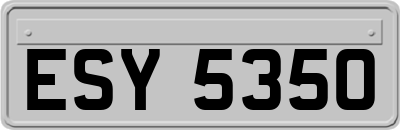 ESY5350