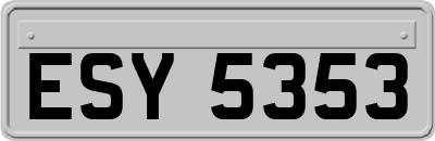 ESY5353