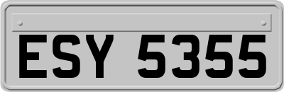 ESY5355