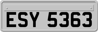 ESY5363
