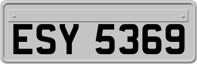 ESY5369