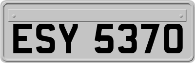 ESY5370