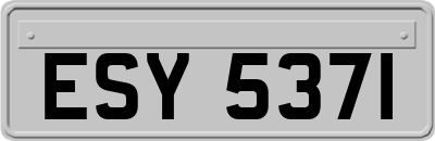 ESY5371
