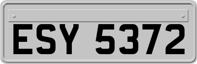ESY5372