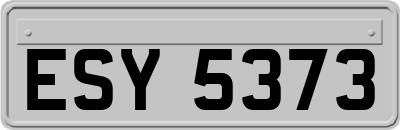 ESY5373