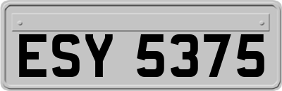 ESY5375