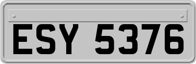 ESY5376