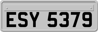 ESY5379