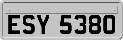 ESY5380