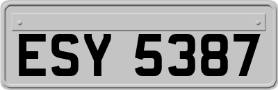 ESY5387