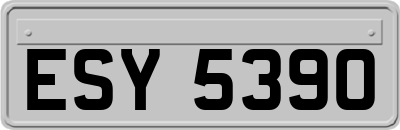 ESY5390
