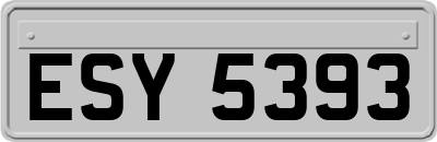 ESY5393