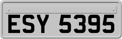 ESY5395