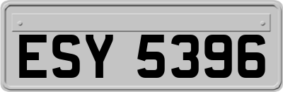 ESY5396