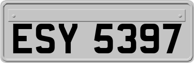 ESY5397