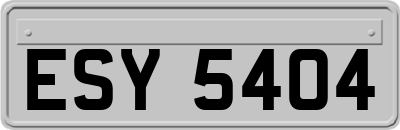 ESY5404