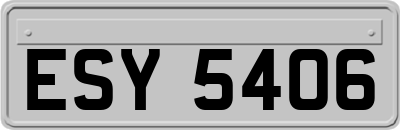 ESY5406