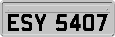 ESY5407