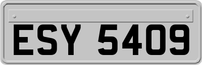 ESY5409