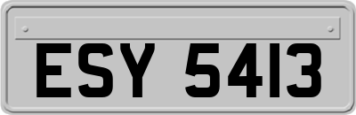 ESY5413