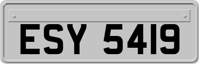 ESY5419