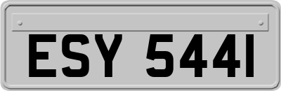 ESY5441