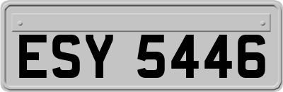 ESY5446