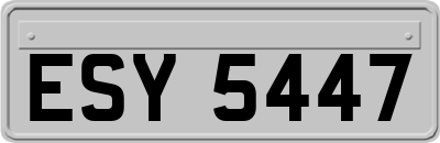 ESY5447