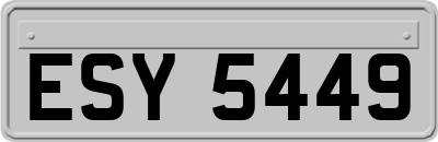 ESY5449