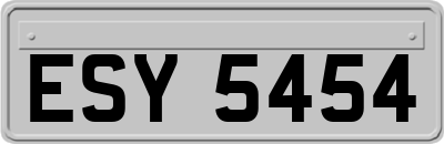ESY5454