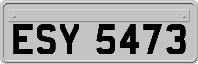 ESY5473