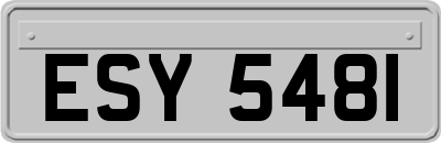ESY5481