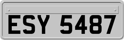ESY5487