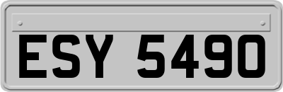 ESY5490