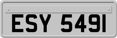 ESY5491