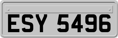 ESY5496