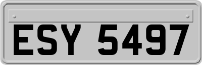 ESY5497