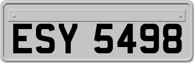 ESY5498