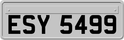 ESY5499