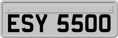 ESY5500