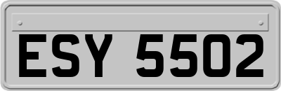 ESY5502