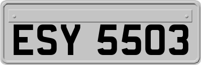 ESY5503