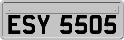 ESY5505