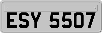 ESY5507