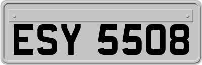 ESY5508