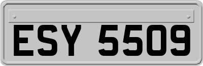 ESY5509