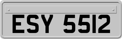 ESY5512