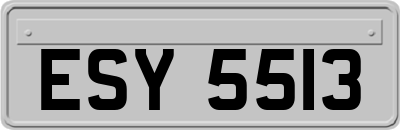 ESY5513